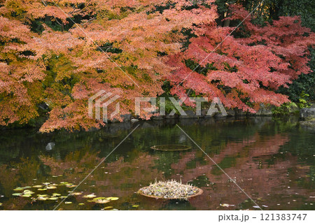 紅葉の徳川園 121383747