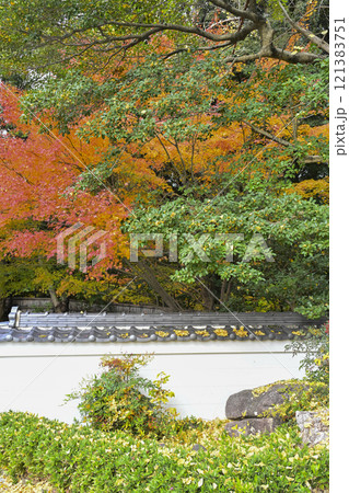 紅葉の徳川園 紅葉の徳川園 121383751