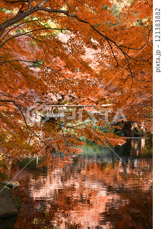 紅葉の徳川園 紅葉の徳川園 121383882