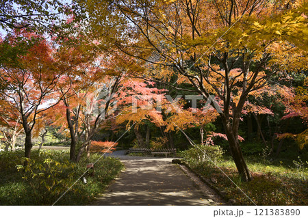 紅葉の徳川園 紅葉の徳川園 121383890