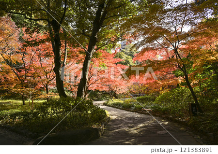 紅葉の徳川園 121383891