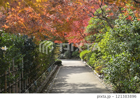 紅葉の徳川園 紅葉の徳川園 121383896