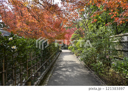 紅葉の徳川園 121383897