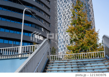 新宿の高層ビルと紅葉した街路樹の風景 新宿の高層ビルと紅葉した街路樹の風景 121383976