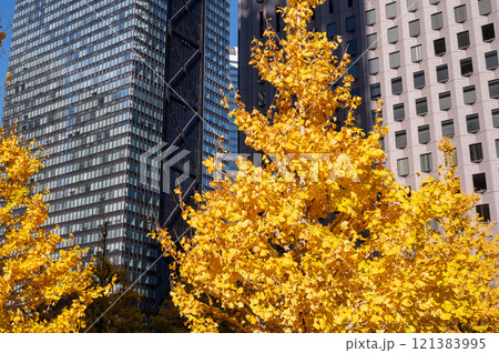 新宿の高層ビルと紅葉した街路樹の風景 新宿の高層ビルと紅葉した街路樹の風景 121383995