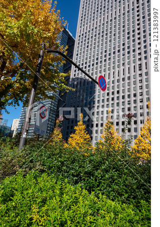 新宿の高層ビルと紅葉した街路樹の風景 新宿の高層ビルと紅葉した街路樹の風景 121383997