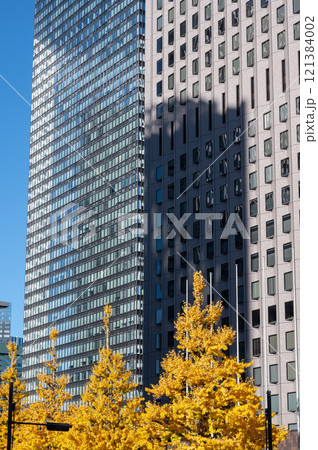 新宿の高層ビルと紅葉した街路樹の風景 121384002