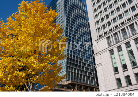 新宿の高層ビルと紅葉した街路樹の風景 121384004