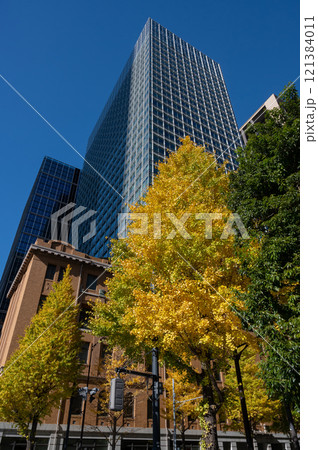 丸ノ内のビルと紅葉した街路樹の風景 121384011