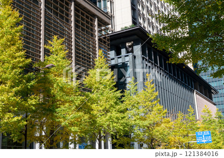丸ノ内のビルと紅葉した街路樹の風景 丸ノ内のビルと紅葉した街路樹の風景 121384016