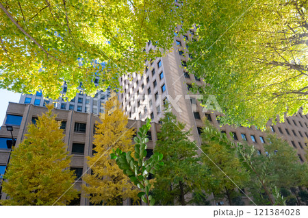 丸ノ内のビルと紅葉した街路樹の風景 丸ノ内のビルと紅葉した街路樹の風景 121384028