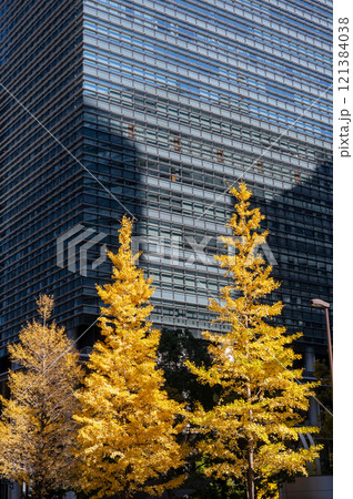 丸ノ内のビルと紅葉した街路樹の風景 121384038