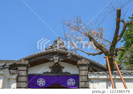掛川城二の丸御殿玄関と桜 121386579