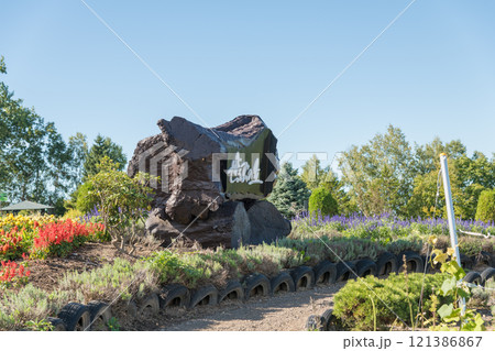 【美瑛町 ゼルブの丘から秋の花風景】 【美瑛町 ゼルブの丘から秋の花風景】 121386867