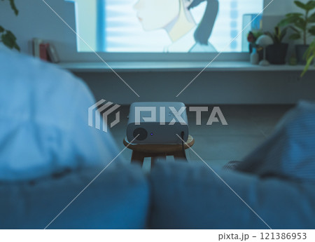 プロジェクターで投影 121386953