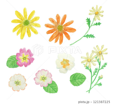 水彩絵の具で描いたリアルな冬のお花セット 水彩絵の具で描いたリアルな冬のお花セット 121387225