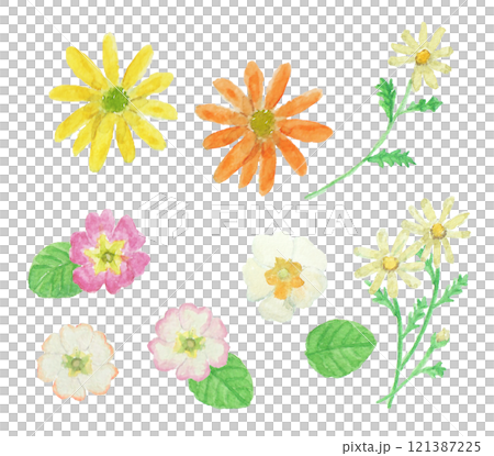 寫實的冬季花卉水彩畫 121387225