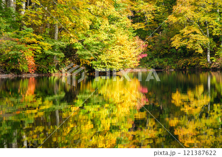 水辺の紅葉 水辺の紅葉 121387622
