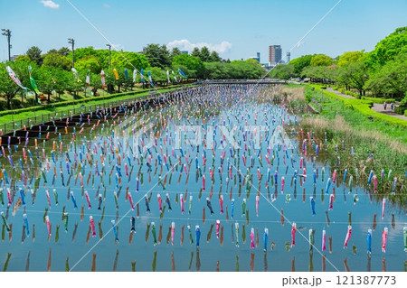 鶴生田川の鯉のぼり 鶴生田川の鯉のぼり 121387773