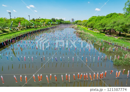 鶴生田川の鯉のぼり 鶴生田川の鯉のぼり 121387774