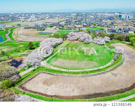 行田市 さきたま古墳公園の古墳と桜 121388146