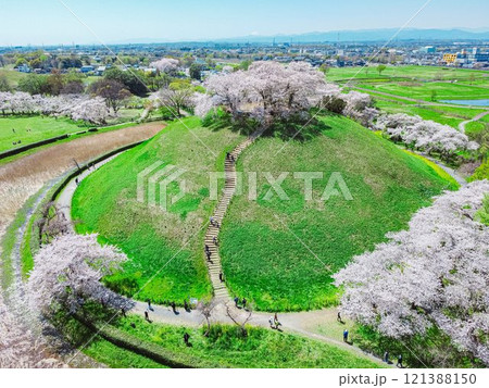 行田市 さきたま古墳公園の古墳と桜 行田市 さきたま古墳公園の古墳と桜 121388150