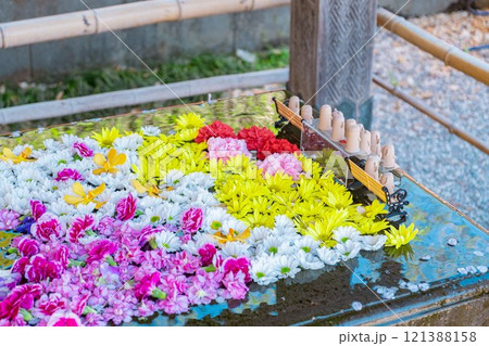 行田市 前玉神社の花手水 行田市 前玉神社の花手水 121388158