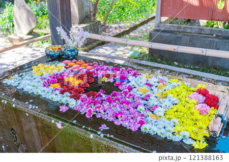 行田市 前玉神社の花手水 121388163