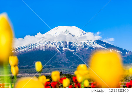 富士山とチューリップ　～山中湖花の都公園～ 121388309