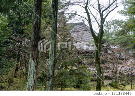 唐招提寺 唐招提寺 121388449