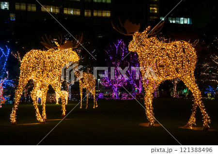 福岡県、天神「天神中央公園」のクリスマスマーケット_2 121388496