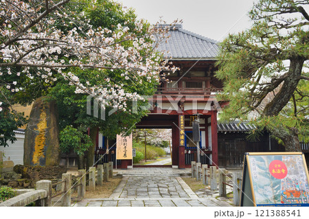 京都 本法寺 春の風景(京都府京都市上京区) 京都 本法寺 春の風景(京都府京都市上京区) 121388541