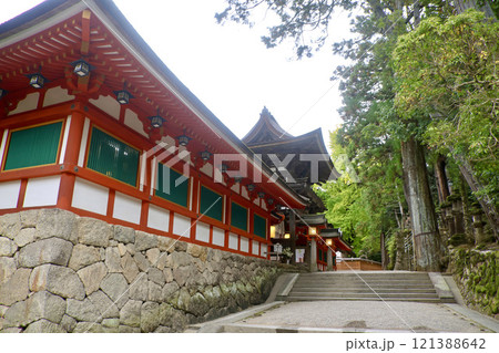 石上神宮・回廊・モミジ(奈良県・天理市) 石上神宮・回廊・モミジ(奈良県・天理市) 121388642