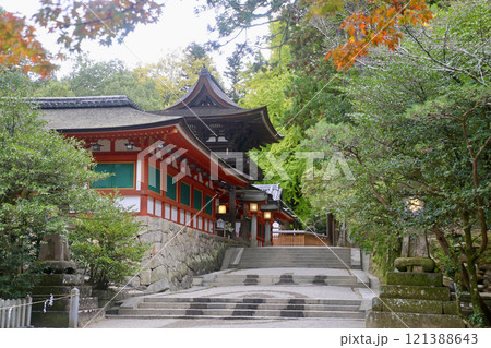 石上神宮・回廊・モミジ（奈良県・天理市） 121388643