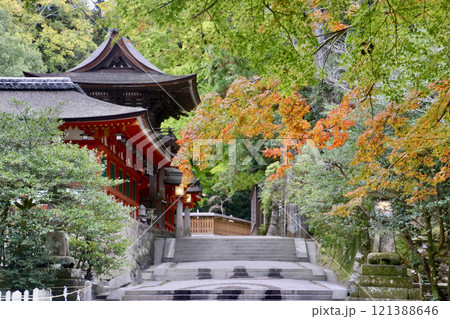 石上神宮・回廊・モミジ（奈良県・天理市） 121388646