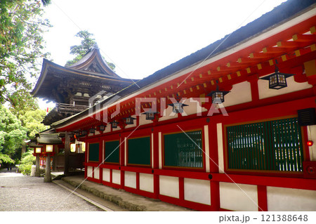 石上神宮・回廊・モミジ(奈良県・天理市) 石上神宮・回廊・モミジ(奈良県・天理市) 121388648
