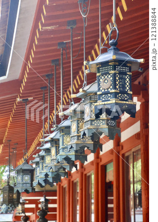 石上神宮・拝殿・吊り灯篭(奈良県・天理市) 石上神宮・拝殿・吊り灯篭(奈良県・天理市) 121388844