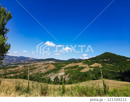 landscape with mountains and trees 121389212