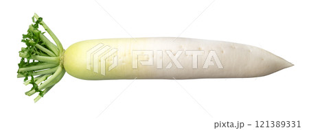 大根 大根 121389331