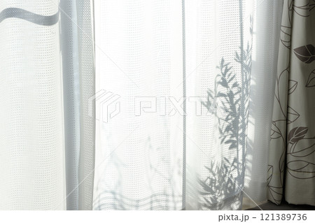レースのカーテンに映るオリーブの木の影 121389736