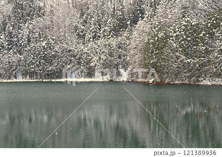 冬の中綱湖 冬の中綱湖 121389936