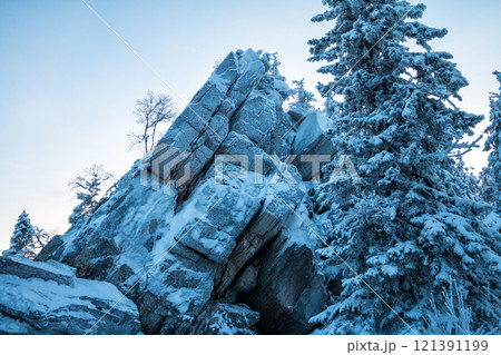 Snow covered rock in the winter forest in the evening light 121391199