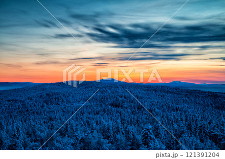 Snowy coniferous forest and mountains in a picturesque sunset light 121391204