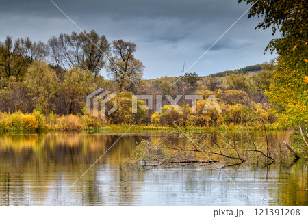 Picturesque forest lake surrounded by trees on a cloudy autumn day 121391208