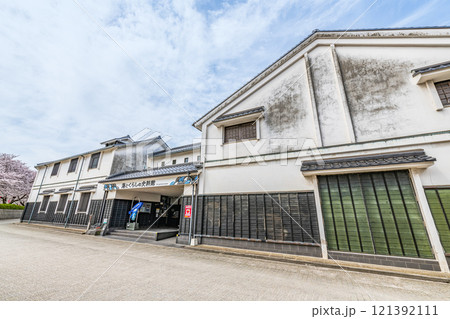 鳥取県境港市 魚の剥製が多く展示されている民族資料館 晴天の海とくらしの史料館 鳥取県境港市 魚の剥製が多く展示されている民族資料館 晴天の海とくらしの史料館 121392111