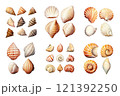 Seashell Collection Watercolor Collection Bundle Set Isolated on a Transparent Background 121392250