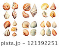 Seashell Collection Watercolor Collection Bundle Set Isolated on a Transparent Background 121392251