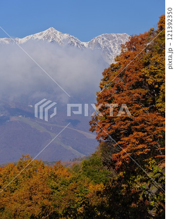 信州 秋の白馬村白沢峠から望む紅葉と白馬鑓ヶ岳・杓子岳 信州 秋の白馬村白沢峠から望む紅葉と白馬鑓ヶ岳・杓子岳 121392350