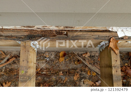 Deck Ledger Board Incorrectly Installed over Wood Siding has led to Extensive Dry Rot and Damage Deck Ledger Board Incorrectly Installed over Wood Siding has led to Extensive Dry Rot and Damage 121392479