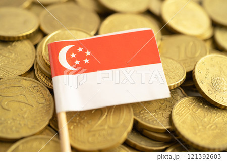 Singapore flag on coins money, finance and accounting, banking. 121392603